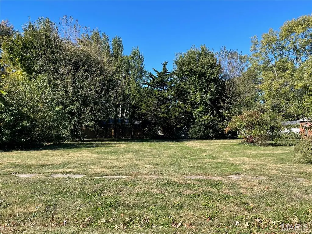 TBD N Madison Street, Litchfield, IL 62056 - Image #1