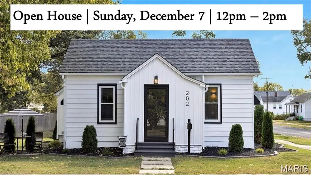 202 E Olive Street, Staunton, IL 62088 - Image #1