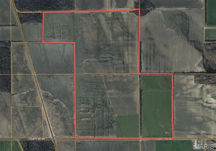 0 County Road 507, East Prairie, MO 63845 - Image #2