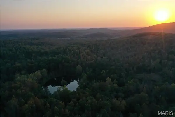 0 County Road 349, Piedmont, MO 63957