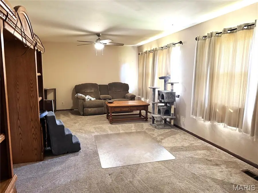 505 Skyview Drive, Ellington, MO 63638 - #3