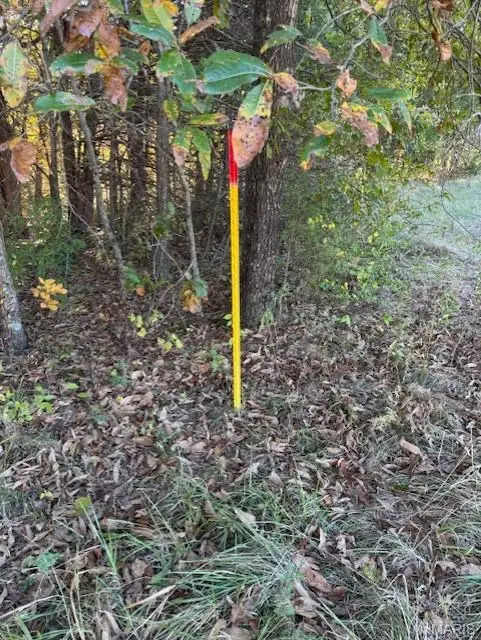 000 Fairview Church Road, Grubville, MO 63041 - Image #3