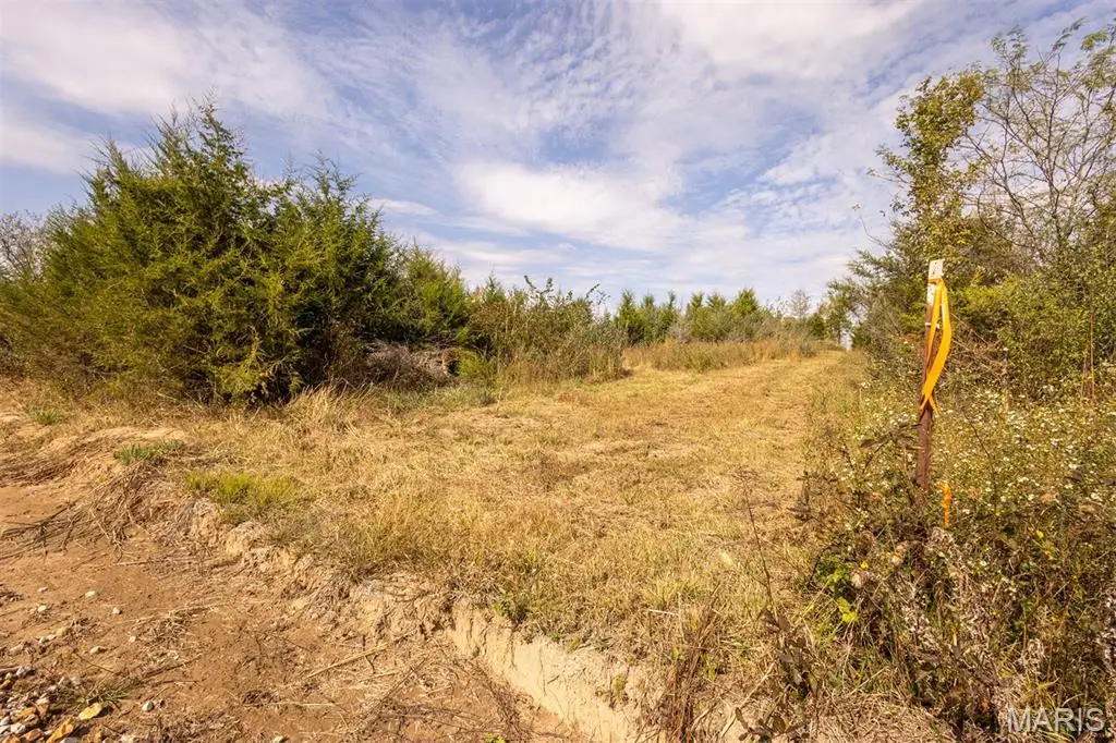 Lot 7 Washington, Perry, MO 63462 - Image #1