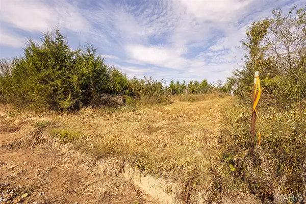 Lot 7 Washington, Perry, MO 63462