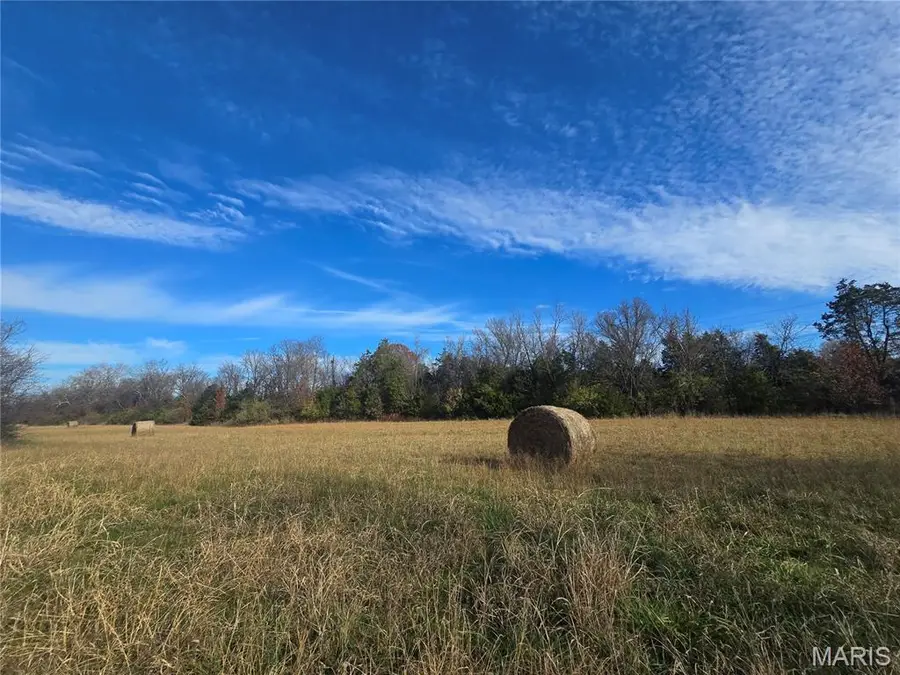 3966 College Road, Farmington, MO 63640 - Image #3