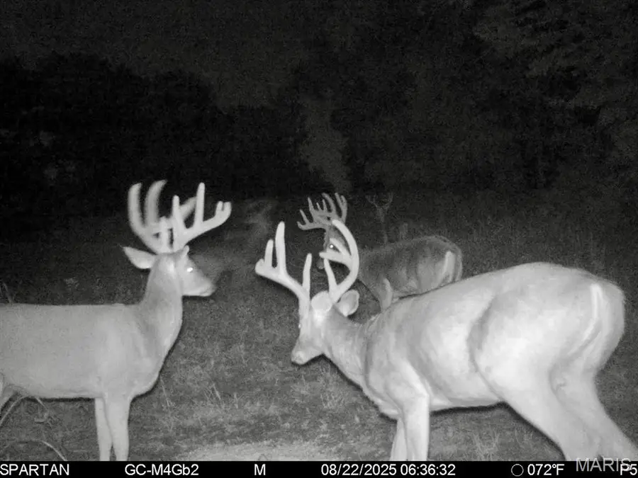 T15 Bobwhite Lane, Cullen, MO 65452 - Image #3