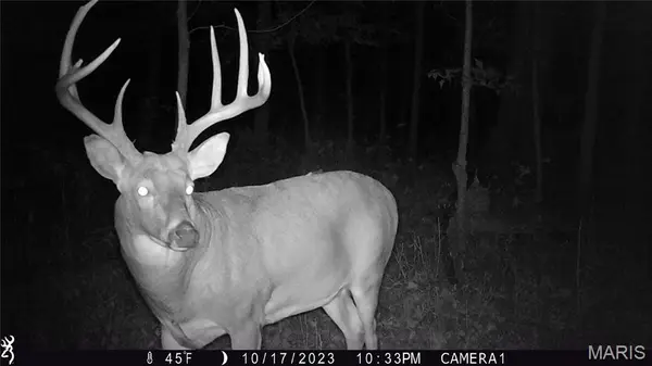 00 Union Grove Avenue, Greenville, IL 62246