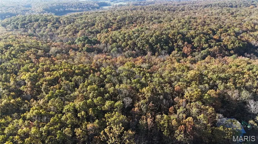 TBD Tract 2 County Road 4215, Salem, MO 65560 - Image #2