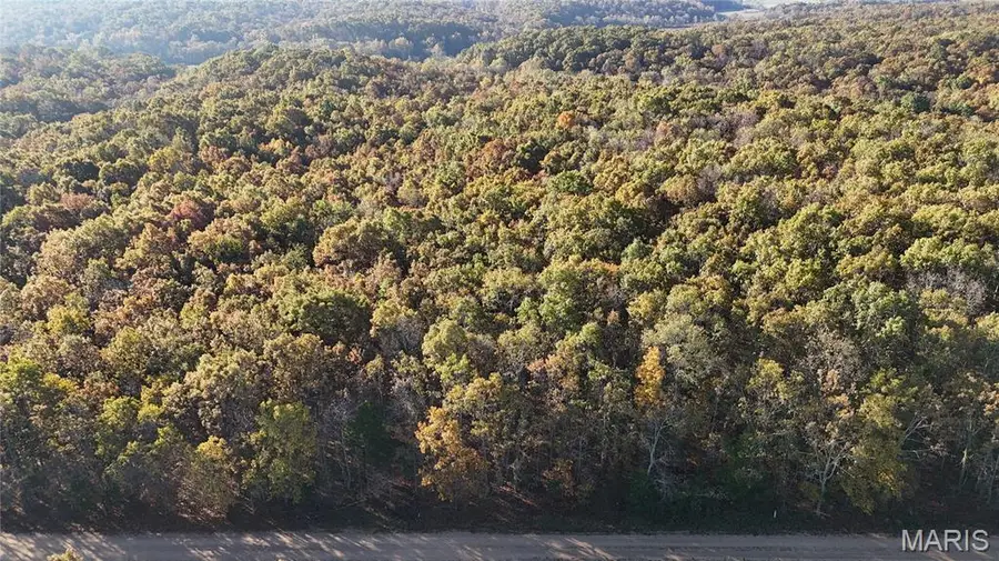 TBD Tract 2 County Road 4215, Salem, MO 65560 - Image #3