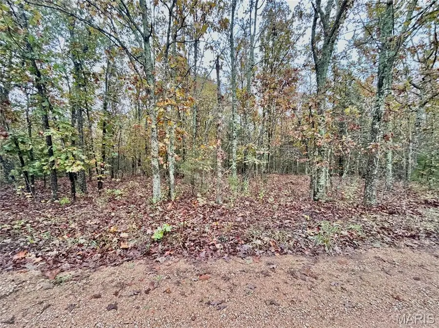 TBD Tract 4 County Road 4215, Salem, MO 65560 - Image #2