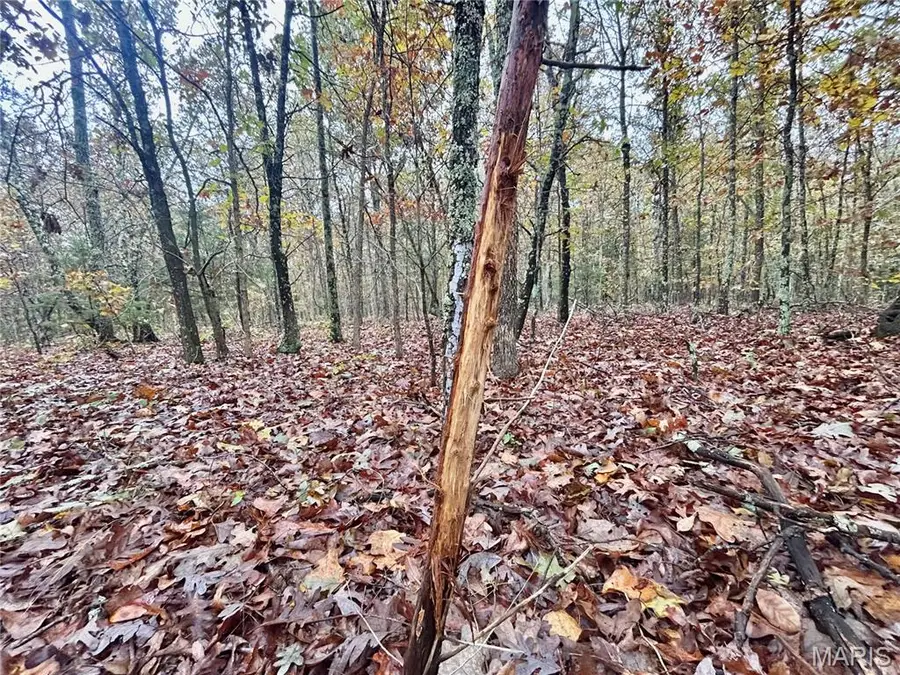 TBD Tract 4 County Road 4215, Salem, MO 65560 - Image #3