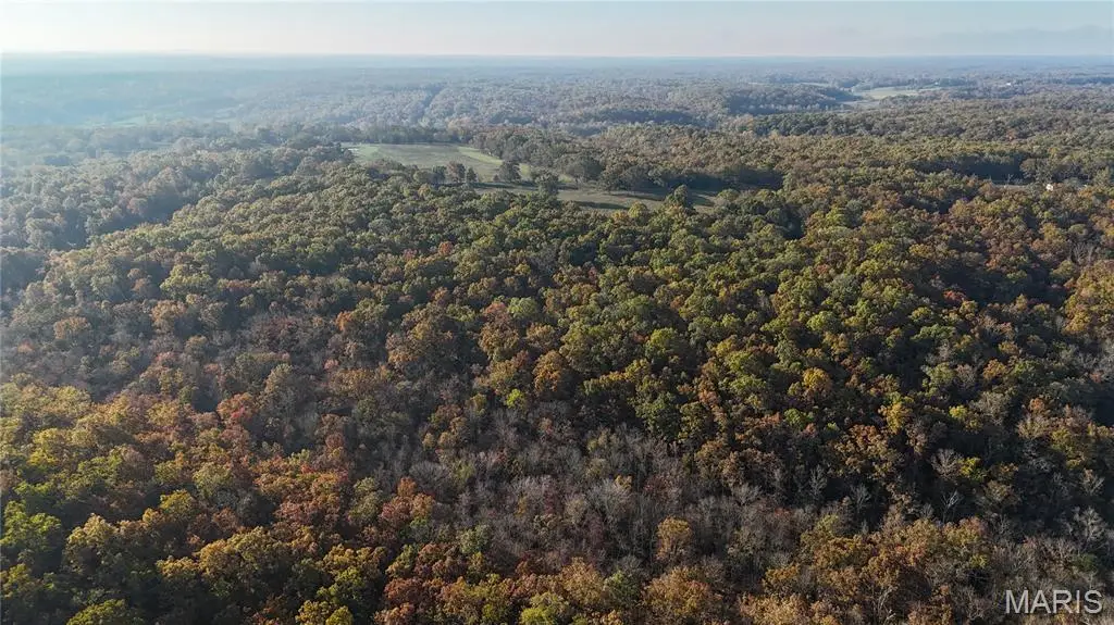 TBD Tract 6 County Road 4215, Salem, MO 65560 - Image #1