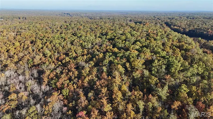 TBD Tract 6 County Road 4215, Salem, MO 65560 - Image #2