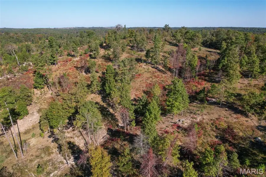 0 County Road 1130, Willow Springs, MO 65793 - Image #3