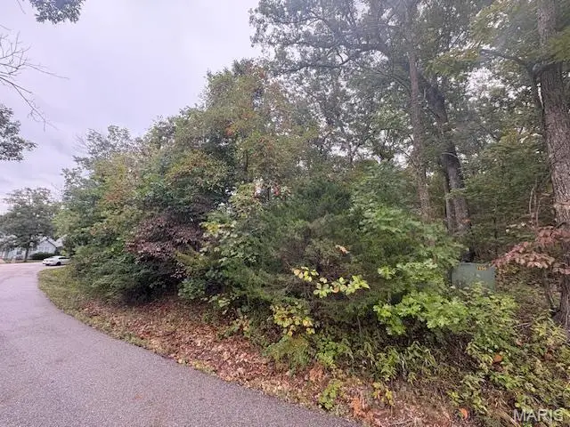 9904 Shiloh Drive, Raintree Plantation, MO 63050 - Image #2