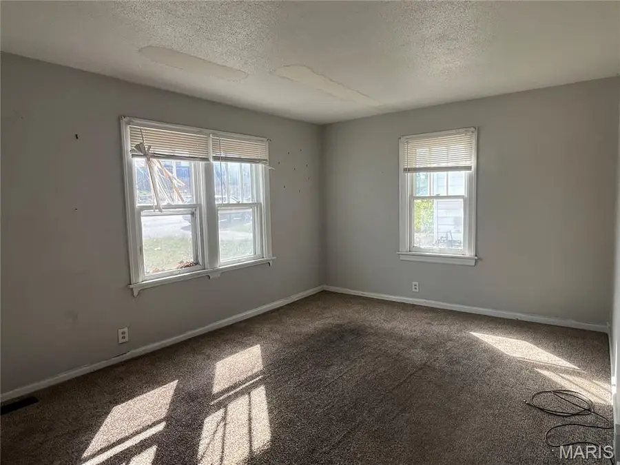 4217 Springdale Avenue, Saint Louis, MO 63134 - Image #3