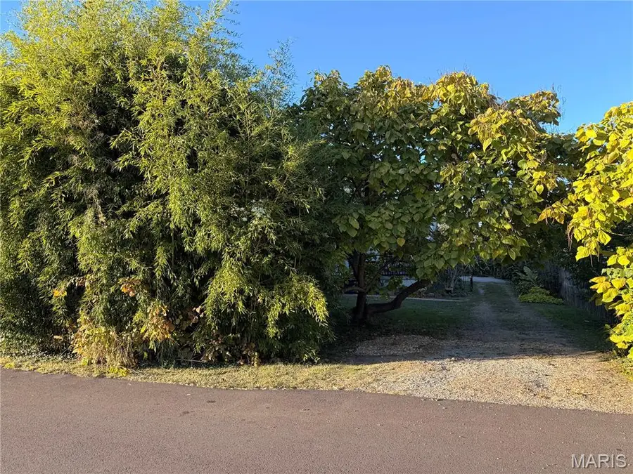 125 Oak Street, Farmington, MO 63640 - Image #3