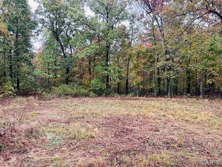 0 Oregon Co. 142-255, Thayer, MO 65791 - Image #3