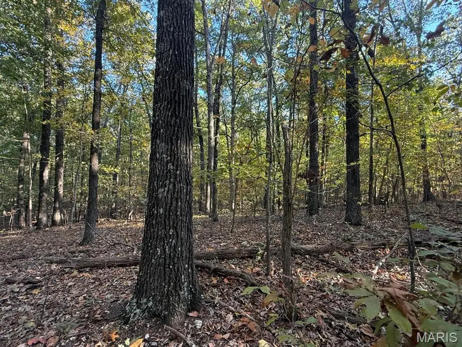 000 M-girlstown Road, Mountain Grove, MO 65711 - Image #2