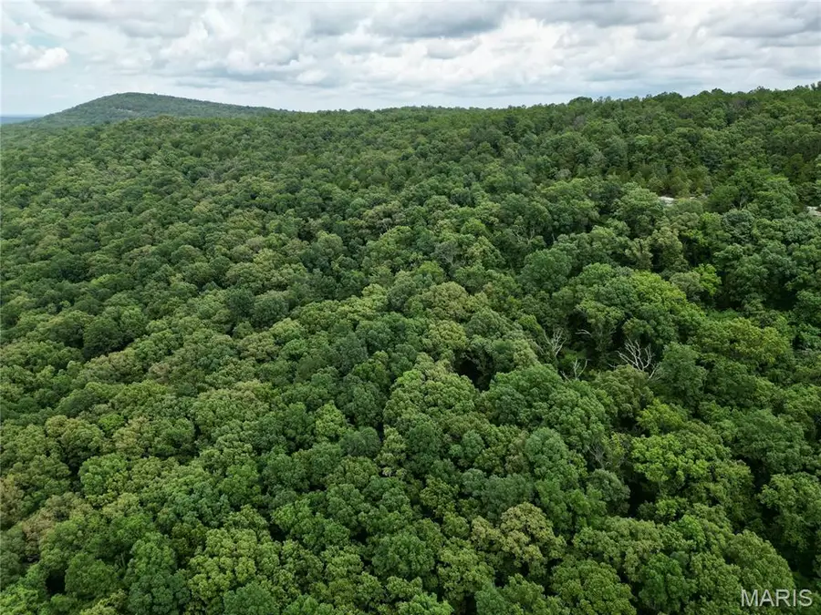 000 Stoneface Rd, Harrisburg, IL 62946 - Image #2