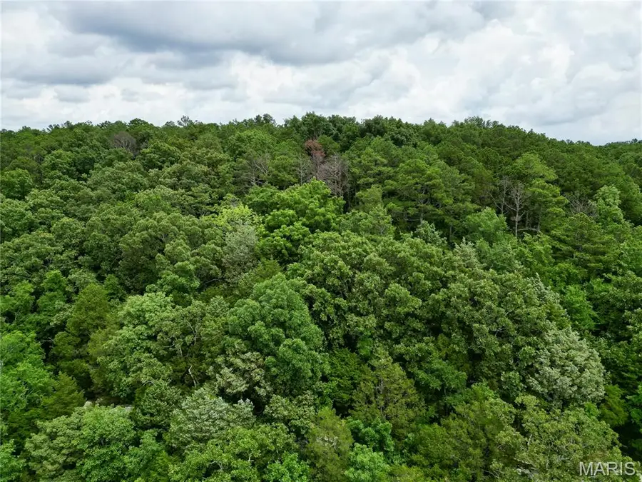 000 Stoneface Rd, Harrisburg, IL 62946 - Image #3