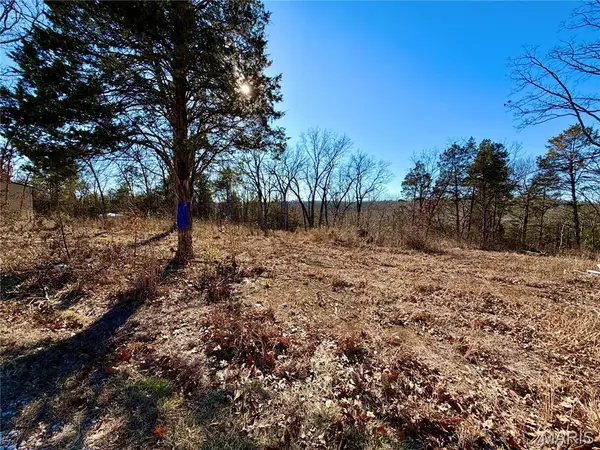 1036 Ridge Road, De Soto, MO 63020