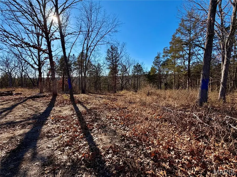 1036 Ridge Road, De Soto, MO 63020 - Image #3