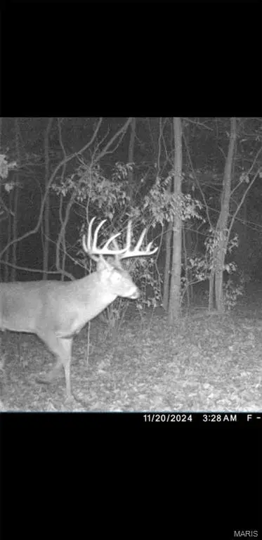 8206 Eakin Grove Rd, Benton, IL 62812 - Image #3