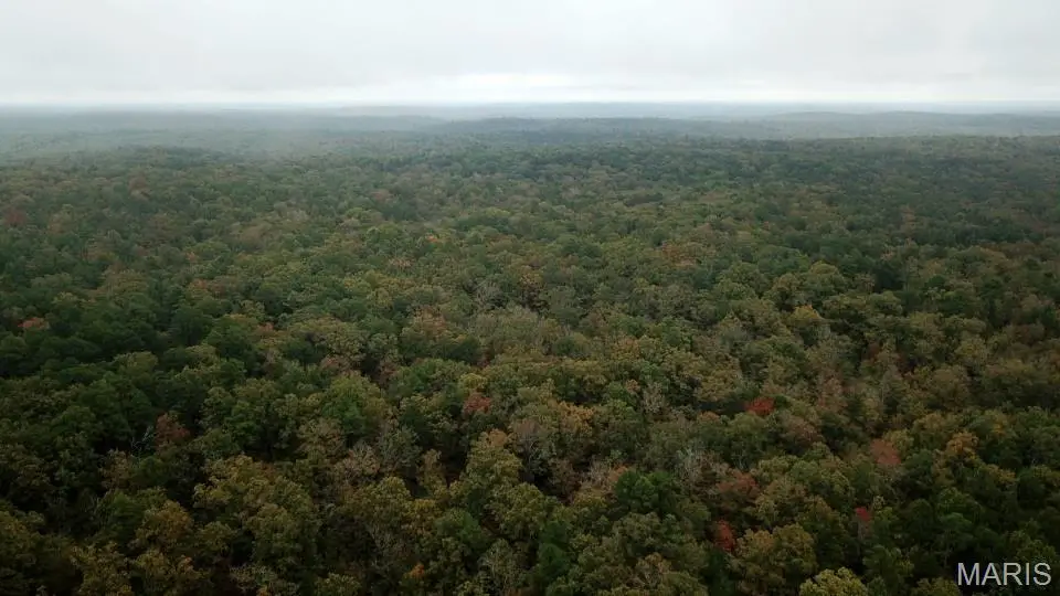 00 Forest Road 3123, Williamsville, MO 63967 - Image #1