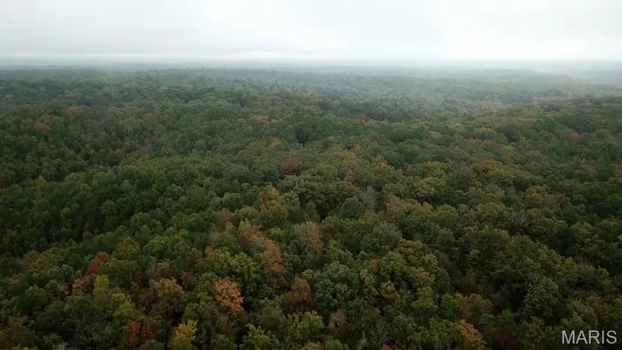 00 Forest Road 3123, Williamsville, MO 63967 - Image #2