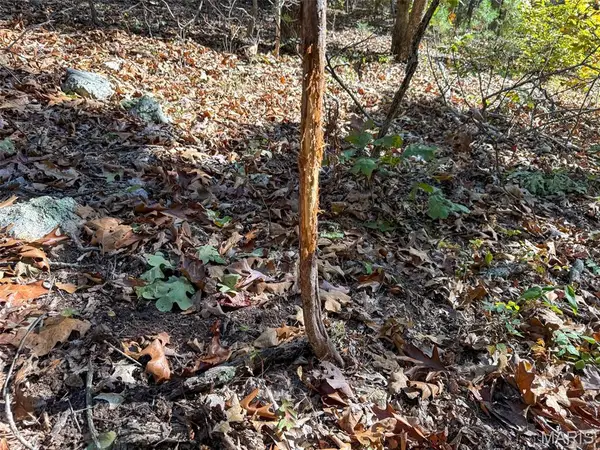 46.4+/- Acre Delpark Road, Potosi, MO 63664