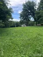 425 Hickory Street, Steelville, MO 65565