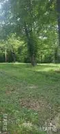 425 Hickory Street, Steelville, MO 65565 - #3