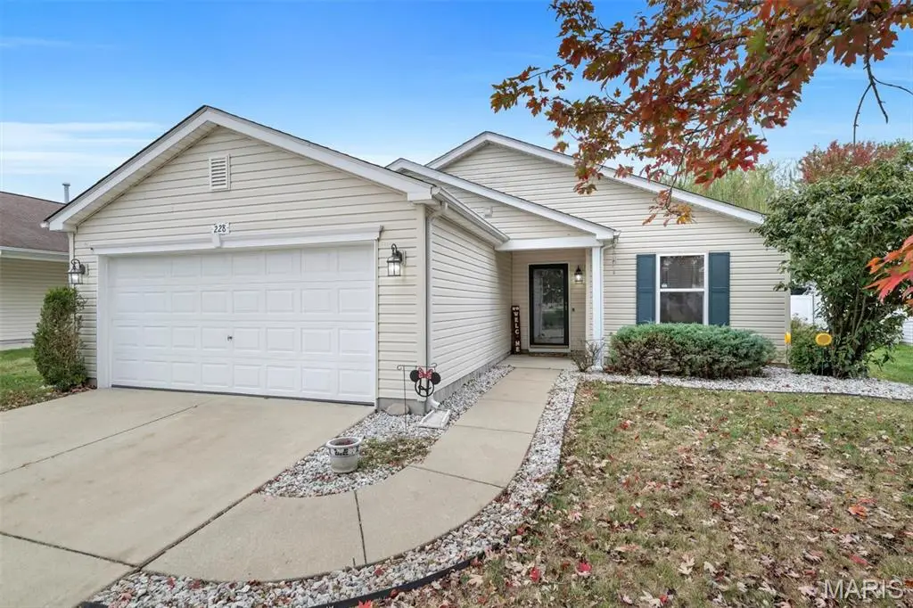 228 Falling Leaf Way, Mascoutah, IL 62258 - #1