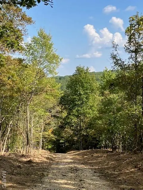 10 Church Road (cr 114), Annapolis, MO 63620 - Image #2