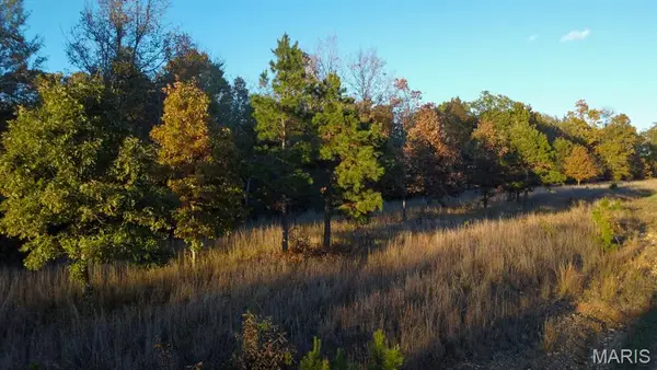 0 Bb Highway, Fairdealing, MO 63945