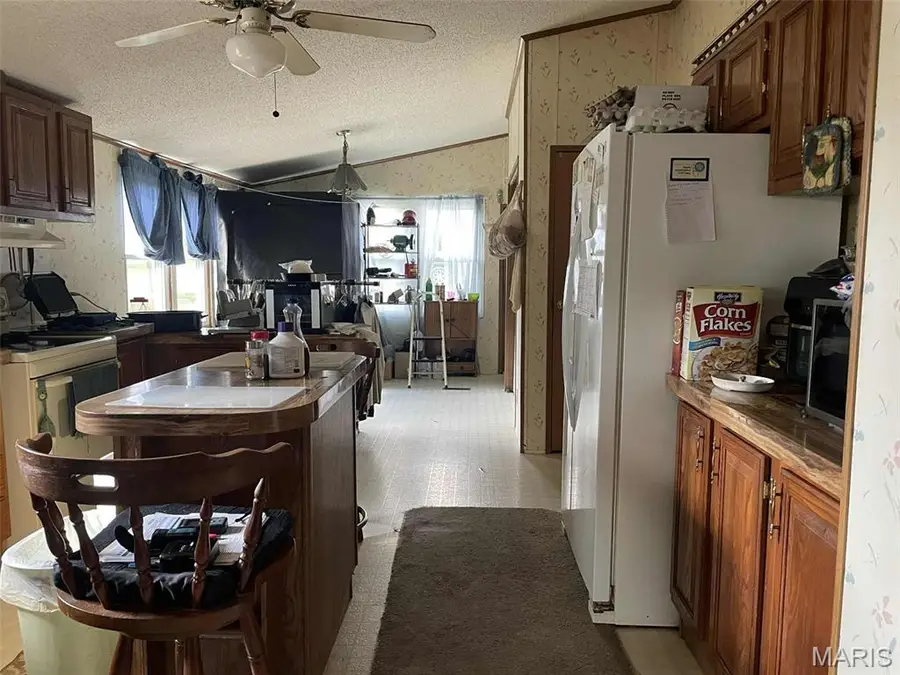 145 W Click Avenue, Puxico, MO 63960 - Image #3