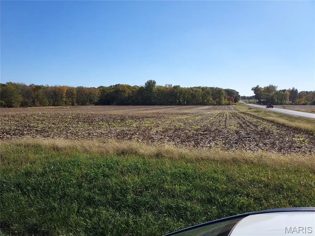 XXX Dudleyville Road, Greenville, IL 62246 - Image #1