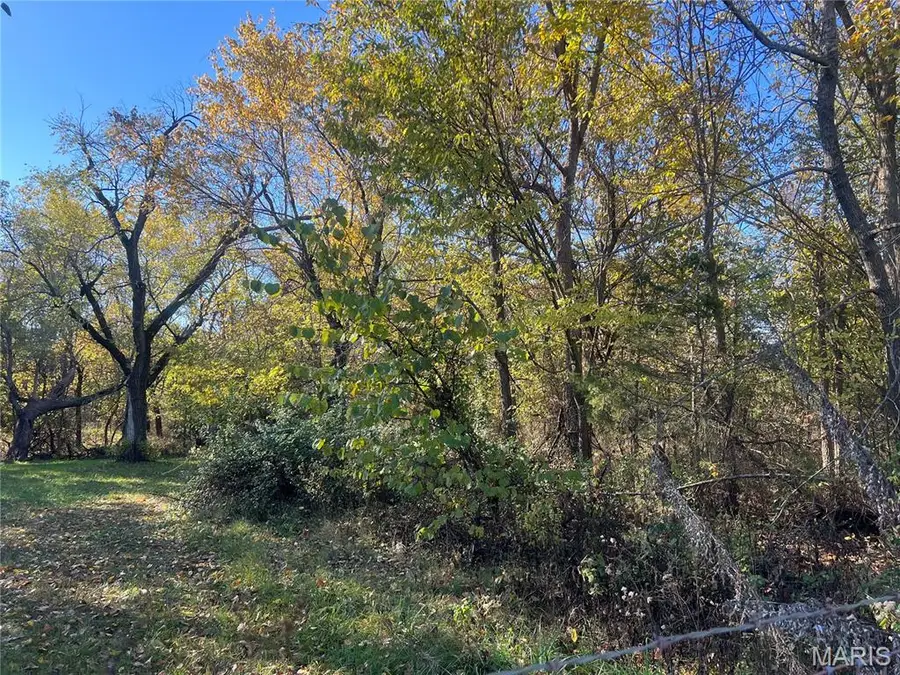 722 E Bland Road, Lebanon, MO 65536 - Image #3