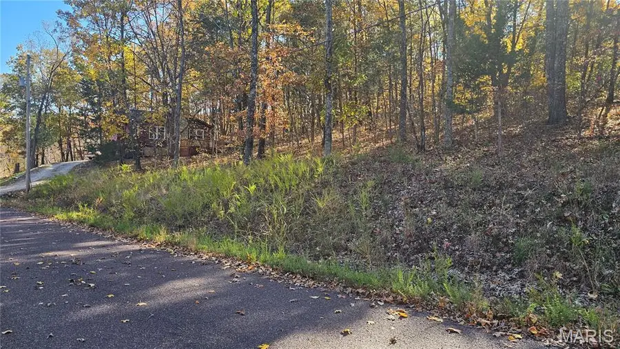 2100 Heather Drive, Lake Sherwood, MO 63357 - Image #2