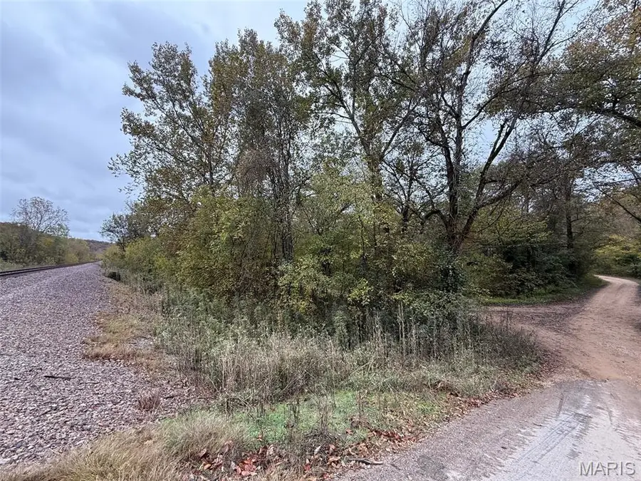 1 Black River Retreat 1, Piedmont, MO 63957 - Image #3