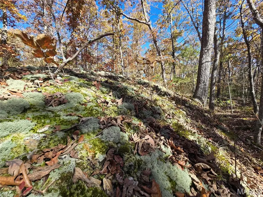 107 Railroad Lane, Doe Run, MO 63637 - Image #2