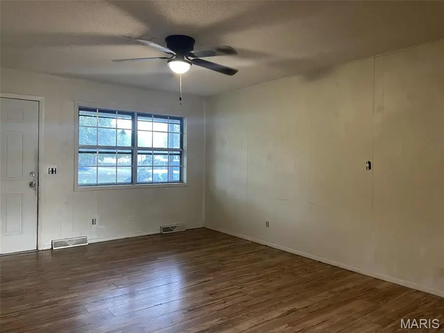 411 Medler Street, Bernie, MO 63822 - Image #2