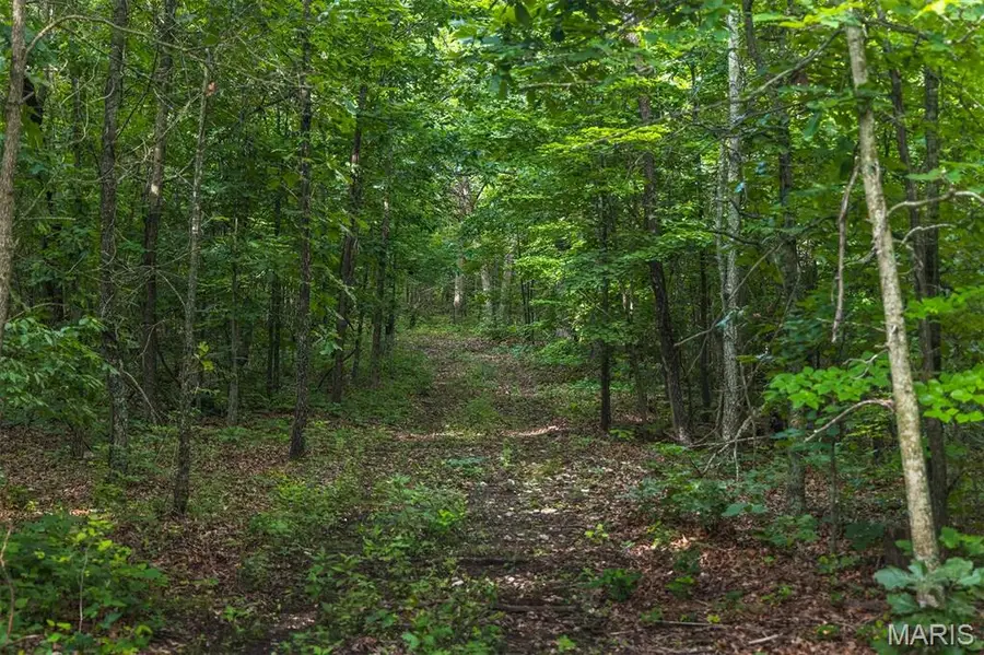 00 Highway Z, Edwards, MO 65326 - Image #3