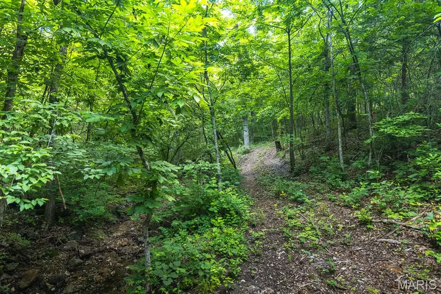 00 Highway Z, Edwards, MO 65326 - Image #2