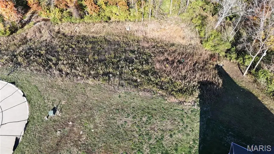 2037 Lily Avenue, Kirkwood, MO 63122 - Image #3