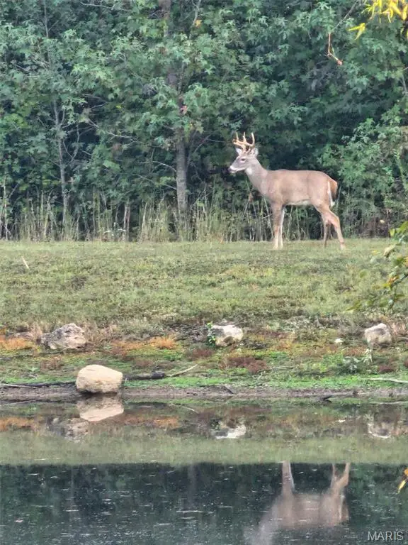 497 Honor Lane, Poplar Bluff, MO 63901 - Image #3