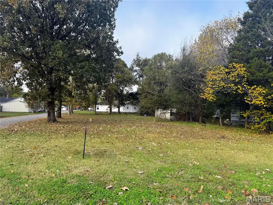 Lot 6 Fisher Drive, Morehouse, MO 63868 - Image #2