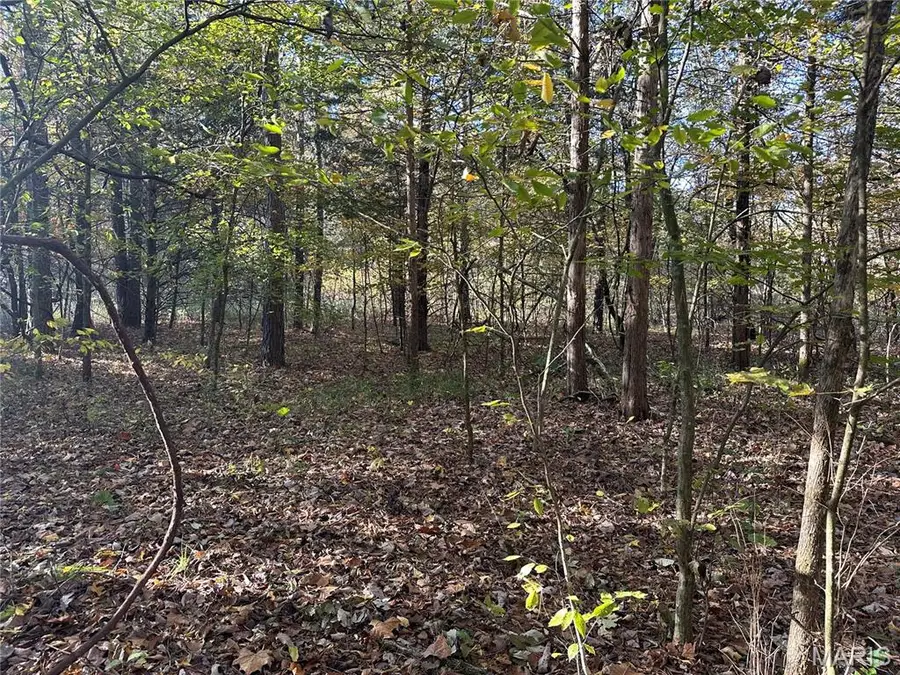 00 Off County Road 4, Belleview, MO 63623 - Image #2