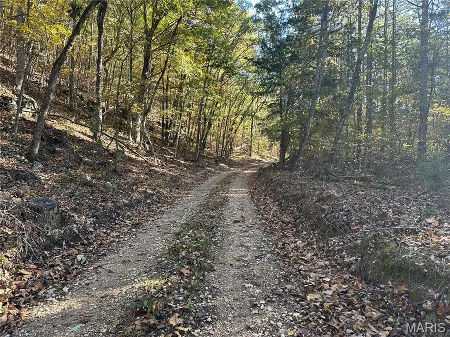 00 Off County Road 4, Belleview, MO 63623 - Image #3